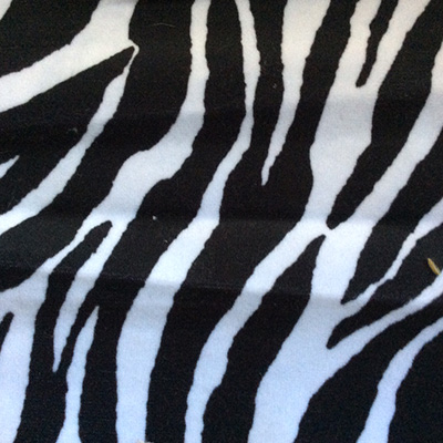 Save a Zebra